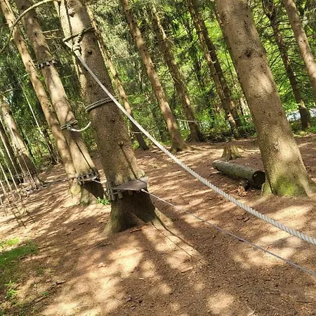 Abenddaemmerung Hahnenklee Apartmán