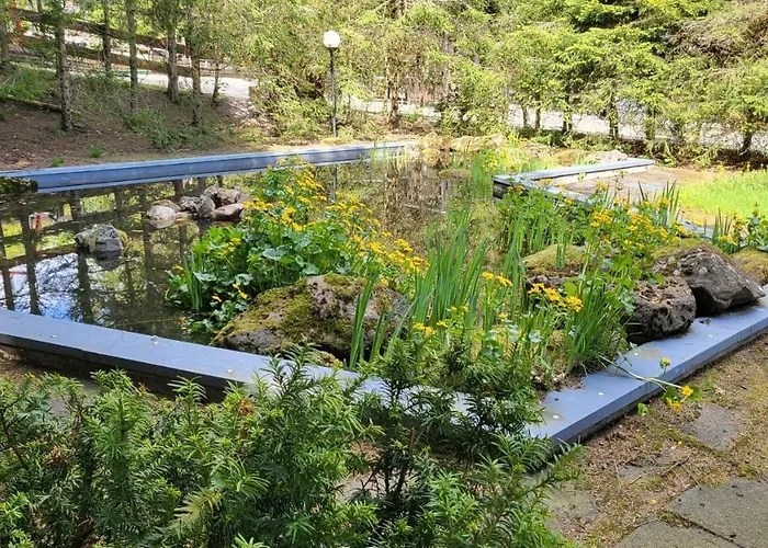 Abenddaemmerung Hahnenklee Goslar